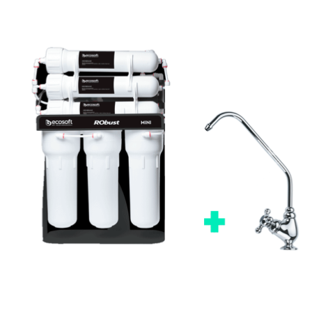 Osmoseur ECOSOFT ROBUSTOS MINI – 50 L/h – Débit Direct avec Pompe Booster